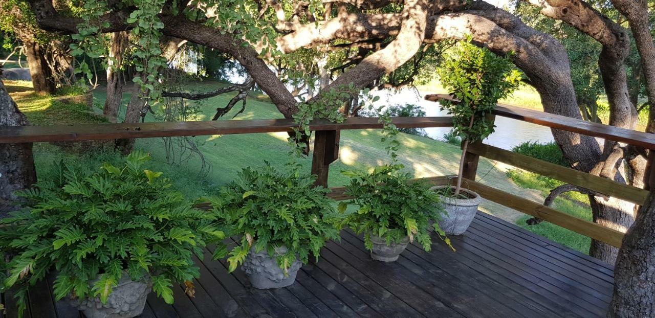 Rio Dos Elefantes River Camp Hoedspruit Extérieur photo