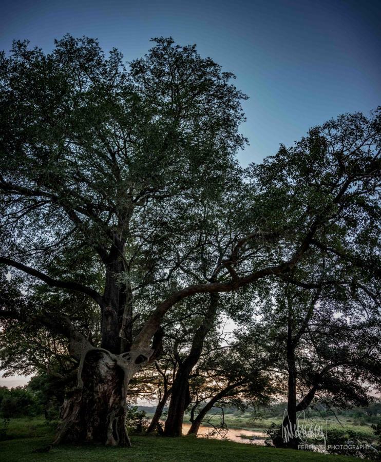 Rio Dos Elefantes River Camp Hoedspruit Extérieur photo